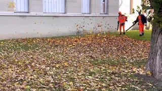 le souffleur à feuilles pour nettoyer la rue