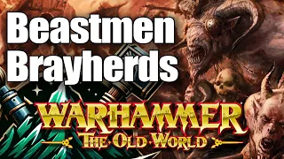 Beastmen Brayherds in the Old World