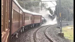 Australian Steam Trains - Kiama Picnic Train, Return Trip