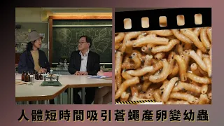 人體短時間吸引蒼蠅產卵變幼蟲｜注射酒精體內與吸入哥羅芳影響 ｜檢查骨骼有否骨折與子彈洞找出原因｜666永:逝者代言人 陸永 陳欣茵 黃子桐