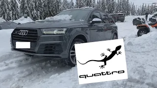 Audi SQ7 4.0 V8 TDi Quattro in snow