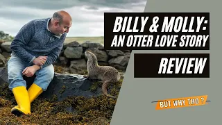 National Geographic Loves Love | Billy & Molly: An Otter Love Story Review