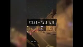 Silvi - Patilner (Սիլվի–Ձյան Ճերմակ Փաթիլներ) /cover/