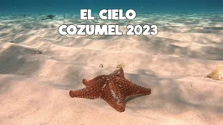 EL MEJOR TOUR DE LA RIVIERA MAYA⭐EL CIELO COZUMEL TODO INCLUIDO🌴ENERO 2023