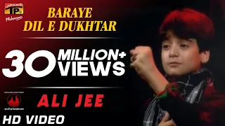 Baraye Dil E Dukhtar,  Ali jee 2013 14