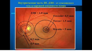 13:50 2 июн. 2022 г. Заболевания сетчатки и зрительного нерва.