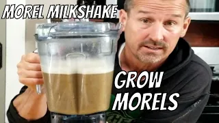 Morel Milkshake (Slurry) How to Grow Morel Mushrooms at Home!