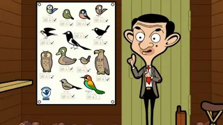 Bird Spotting | Mr Bean | Cartoons for Kids | WildBrain Kids