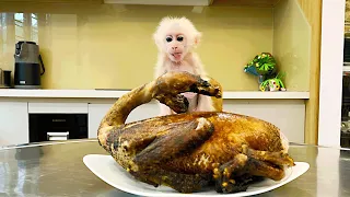 Chef Bibi monkey Cooks Hearty Dinner for the Family