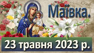 Маївка. 23 травня  2023 р.