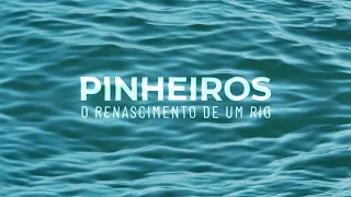 Rio Pinheiros: O renascimento de um rio