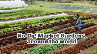 No Dig Market Gardening