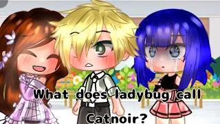 What does Ladybug call catnoir? Meme Miraculous ladybug  [MLB] | Gacha Club