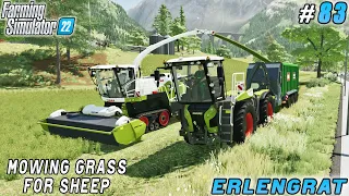 Building new sheep pens, cutting grass with Claas JAGUAR 960 TERRA-TRAC | Erlengrat | FS 22 | ep #83