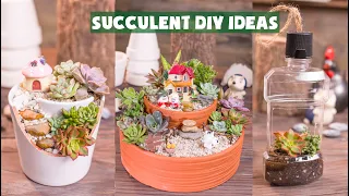 14 Succulent DIY Ideas| 14 Ý tưởng trang trí sen đá tuyệt đẹp| 多肉植物| 다육이들 | Suculentas