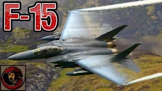 F-15 Eagle Jet Fighter | AMERICAN AIR SUPERIORITY