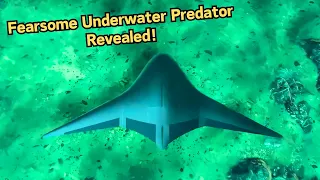 Manta Ray Submersible: The Most Feared Underwater Predator of Enemy Subs!