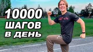 Я ХОДИЛ ПО 10000 ШАГОВ 30 ДНЕЙ ПОДРЯД И ВОТ ЧТО ВЫШЛО