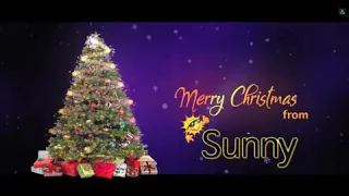 Sunny wishes you merry Christmas and happy New year