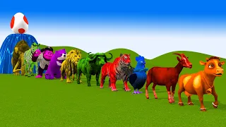 Paint & Animals Ducks,Sheep,Cow,Lion,Elephant,Bear Fountain Crossing Transformation Animal Cartoon