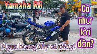 |Dương motor| ngựa hoang yamaha R6,khó thuần do xe hay do nài yếu?