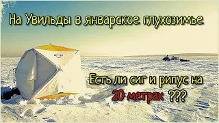 ПОЕХАЛ ЛОВИТЬ СИГА В ГЛУХОЗИМЬЕ. МОЖНО ЛИ ПОЙМАТЬ ЧТО-ТО НА 20 МЕТРАХ НА УВИЛЬДАХ???