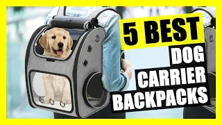 TOP 5: Best Dog Carrier Backpack for Hiking 2023 | Safety Travel Bag