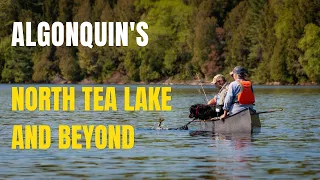 Algonquin's North Tea Lake & Beyond