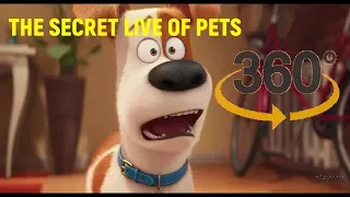 THE SECRET LIFE OF PETS PICTURE 360 funny MOVIES 360 FOR KIDS