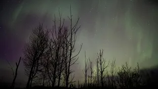 Northern lights dance over Minnesota