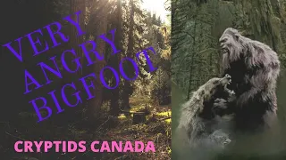 EPISODE 129 VERY ANGRY BIGFOOT