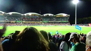 Crowd Reaction: Adelaide Strikers' Greatest BBL Run Chase