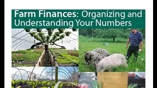 Farm Finances: Organizing and Understanding Your Numbers