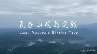 Wawu Mountain Birding Tour