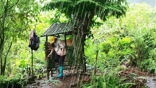 How the girl built a bamboo house when it rained heavily