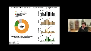 Brian P. Delisle, Circadian Regulation of Cardiac Electrophysiology