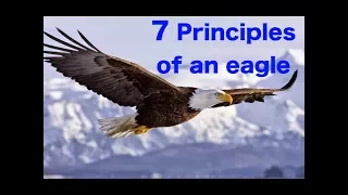 INSPIRE : 7 Leadership Principles of an "Eagle"【EN】