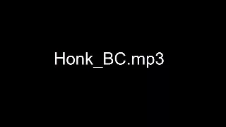 Honk_BC.mp3