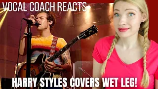 Vocal Coach/Musician Reacts: HARRY STYLES Wet Leg Cover ‘Wet Dream’ Analysis!