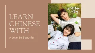 Learn Chinese with A Love So Beautiful