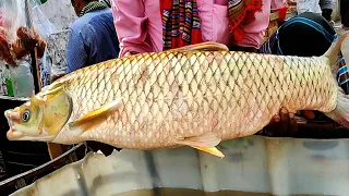 | Incredible Big Carp Fish Cutting Skills In BD Fish Market | Grass Carp Fish Cutting |