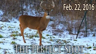 Midwest Whitetail | Bowhunting Shot Selection -- Delicious Wild Rabbit Recipe