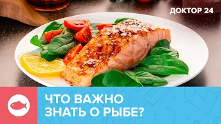 От какой РЫБЫ больше ПОЛЬЗЫ? | Доктор 24