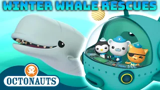 ​@Octonauts - Winter Whale Rescues 🐋 🛥️ | 60 Mins Compilation  | Underwater Sea Education