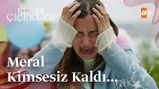 Kızlar, Meral'in Kader'in yerine geçtiğini öğrendi! | Kırgın Çiçekler Mix Sahneler