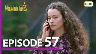 Wounded Birds Episode 57 - Urdu Dubbed | Turkish Drama