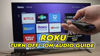 How to Turn OFF & ON Audio Guide on Roku TV