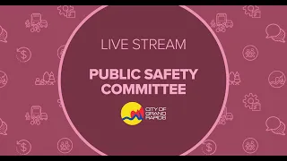 Public Safety Committee - April 25, 2023