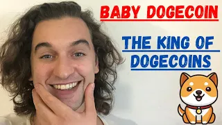 BabyDoge to $0.10 ? - BABY DOGE COIN Crypto Analysis