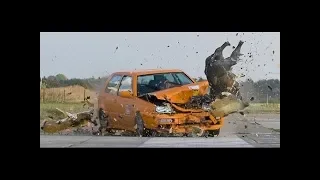 Animal Car Crash Compilation - Animal Car Crashes